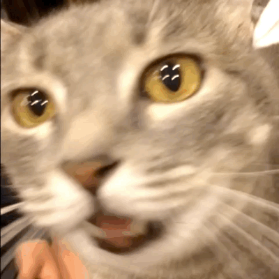 Avatar 10