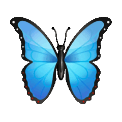 Avatar 26